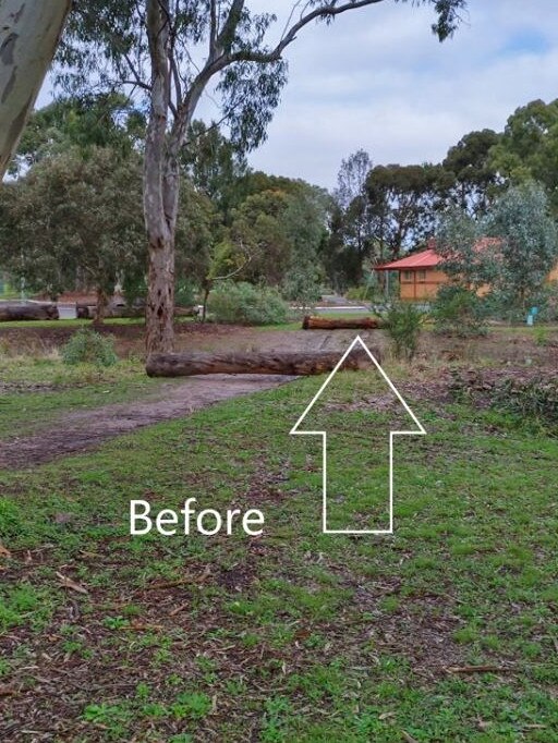 The large log acts as a barrier at the entrance of the Byards Road Wetlands. Picture: Supplied