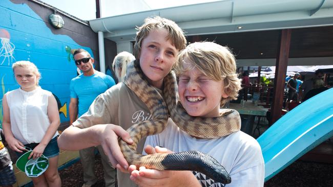 Westpac helicopter fundraiser at the Hoey Moey: Phoenix and Liam from Coffs check out one of Steve The Snakeman’s friends. Picture: Rob Wright / The Coffs Coast Advocate