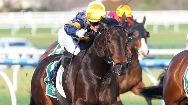 Arkansaw Kid ridden by Luke Currie wins the Evergreen Turf Regal Roller Stakes at Caulfield Racecourse on August 17, 2024 in Caulfield, Australia. (Photo by Scott Barbour/Racing Photos via Getty Images)