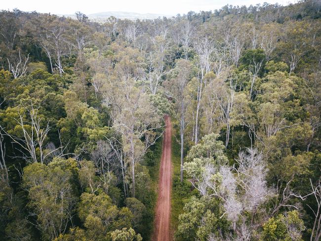 12,000ha to be added to protected area estate, including Yabba Forest
