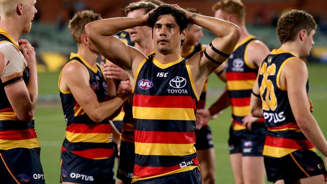 Shane McAdam will hopefully have more to celebrate at Adelaide in 2021. Picture: AFL Photos/Getty Images