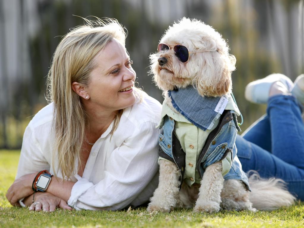 Jen Rogers with her Cavoodle "Mr Darcy" who's Instagram is Paddington pup, in Paddington for International Dog Day. Picture: Justin Lloyd.