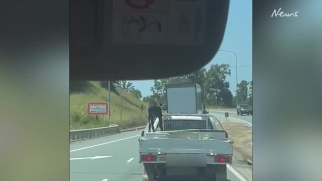 Alarm as dog struggles in heat on back of ute