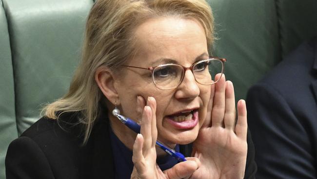 CANBERRA, AUSTRALIA  - NewsWire Photos - November 20, 2024: Deputy Leader of the Opposition Sussan Ley  during Question Time at Parliament House in Canberra. Picture: NewsWire / Martin Ollman