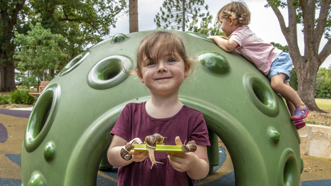 Four-year-old Daisy Hughes (front) holds some of the snails from her family’s Greenmount snail farm while younger sister, Primrose explores in the background. Picture: Nev Madsen