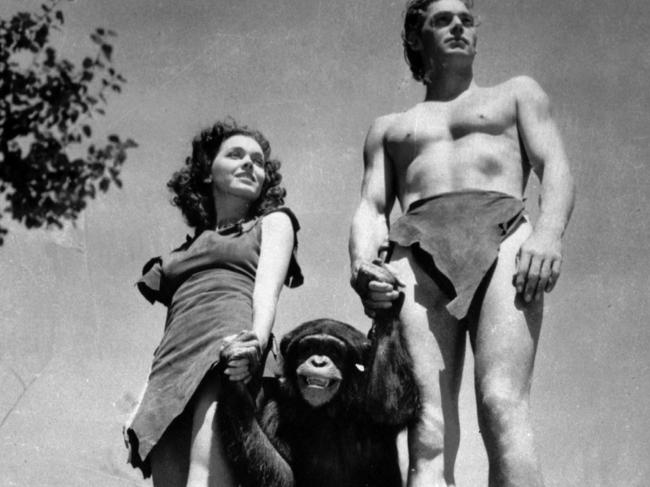 FILE - A file photo shows Johnny Weissmuller, right, as Tarzan, Maureen O'Sullivan as Jane, and Cheetah the chimpanzee, in a scene from the 1932 movie Tarzan the Ape Man. A Florida animal sanctuary says Cheetah the chimpanzee from the Tarzan movies of the 1930s died Cheetah died on Dec. 24 of kidney failure at age 80. (AP Photo/ho, File)