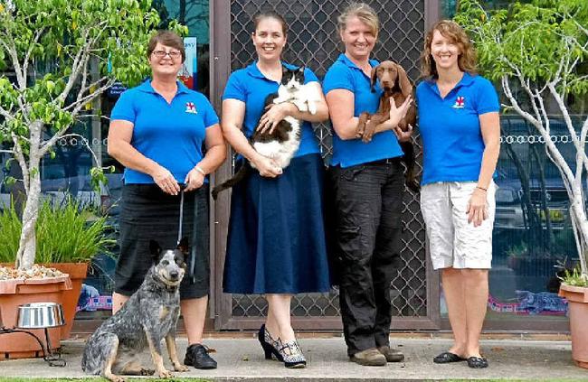 TEAM: Nurse Julie with Milly, Dr Karen with Moobycat, nurse Anthea with Koda, and nurse Leisa.