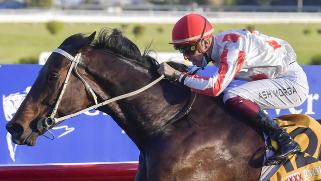 Ashley Morgan (pictured) has a number of good rides at Port Macquarie including Fast Talking in the Cup.
