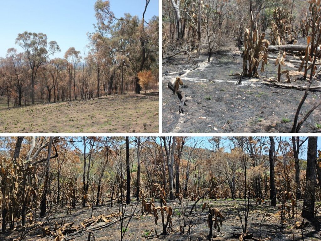 The damage left behind from the catastrophic bushfires that tore through parts of the Southern Downs and Granite Belt in early November.