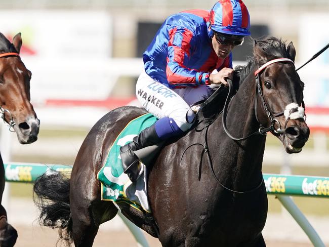 Jockey Michael Walker rides Prince Of Arran to victory in Race 7, the Bet365 Geelong Cup, during the Geelong Cup Day at Geelong racecourse in Melbourne, Wednesday, October 24, 2019. (AAP Image/Michael Dodge) NO ARCHIVING, EDITORIAL USE ONLY