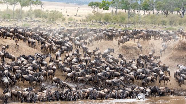 Investors who constantly follow the herd can come unstuck. Picture: Istock