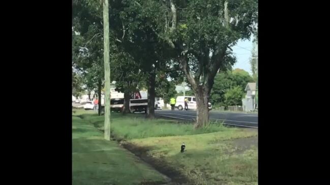 The crash at the corner of Hunter and Walker Sts