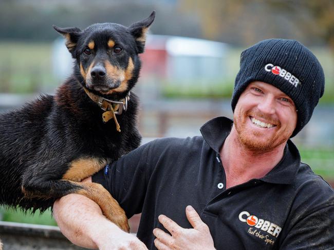 Hold embargo - check with dt pic desk before use, Daniel Pumpa and his dog Turbo, competing in the 2021 Cobba Challenge. Pictured at Koorawatha,NSW, Picture: Brad Newman