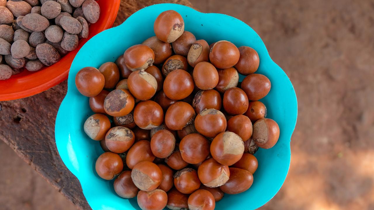 Demand for shea butter has exploded across the West in recent decades. Picture: Jessica Sarkodie for The Body Shop