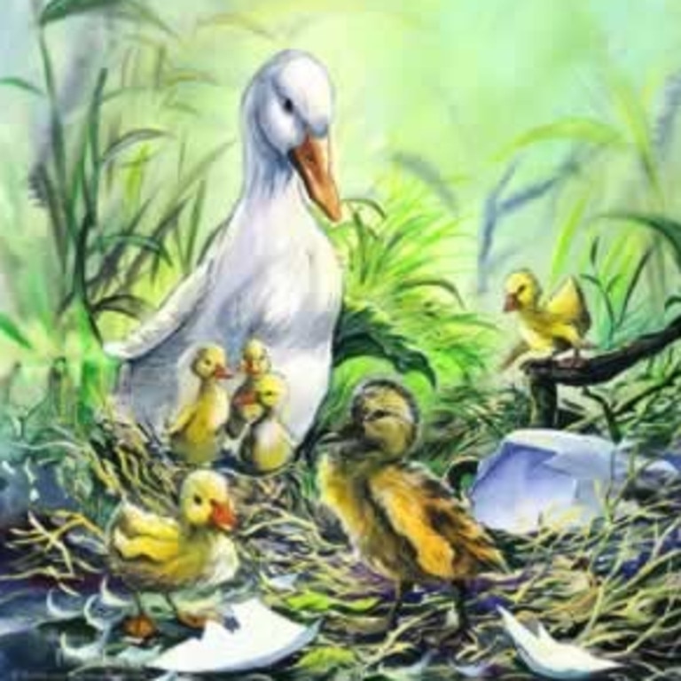 The Ugly Duckling. Fairytale. Source: Hans Christian Andersen (1843).