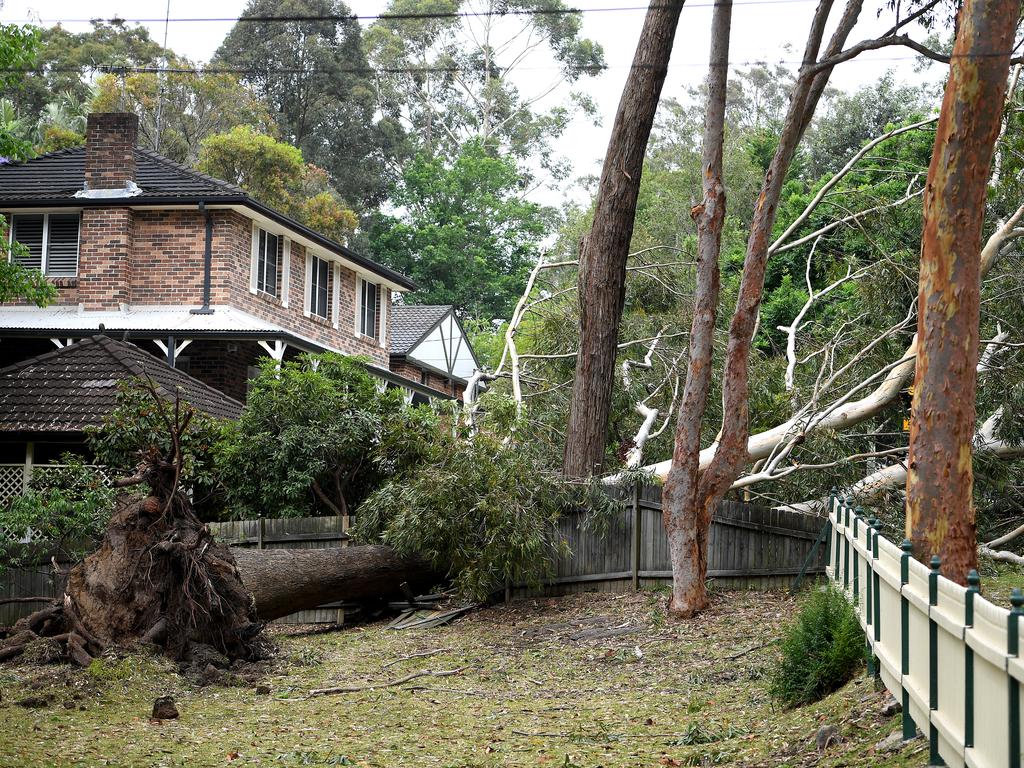 Storm damage is seen in Gordon, north of Sydney, Tuesday, November 26, 2019. A severe fast moving thunderstorm has passed over Sydney resulting in fallen trees and downed power lines in several Sydney suburbs. (AAP Image/Dan Himbrechts)