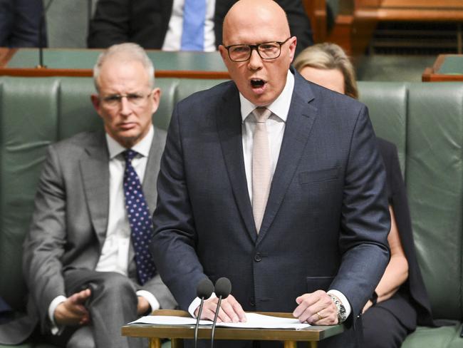 Mr Dutton said it was important we did everything possible to support young children from being exposed to the worst kinds of content online. Picture: NCA NewsWire / Martin Ollman