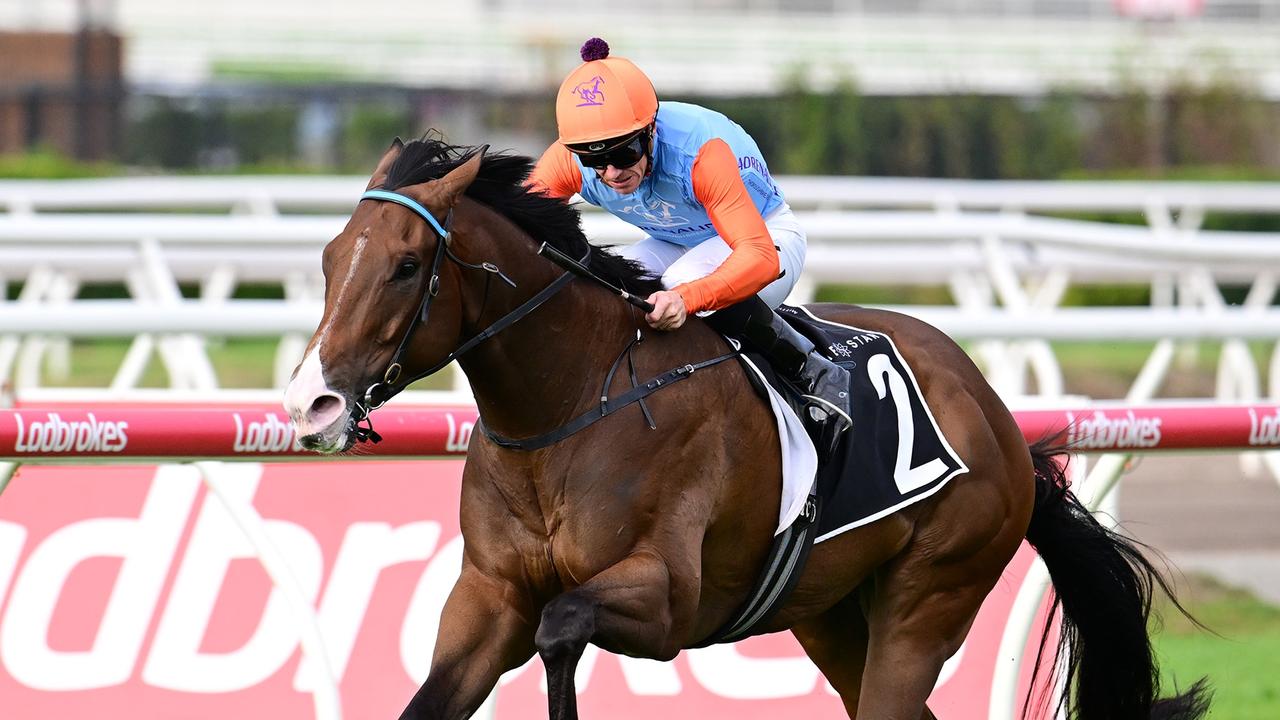 Prince Of Boom bit jockey Jimmy Orman’s finger off earlier in the week. Picture: Grant Peters/Trackside Photography