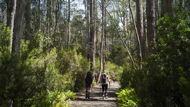 Lake St Clair National Park. Picture: Matthew Newton