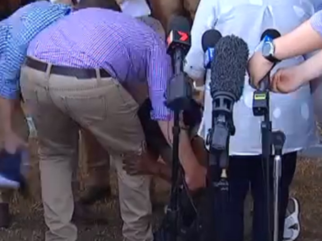 The woman falls at Scott Morrison’s feet. Picture: 7 News