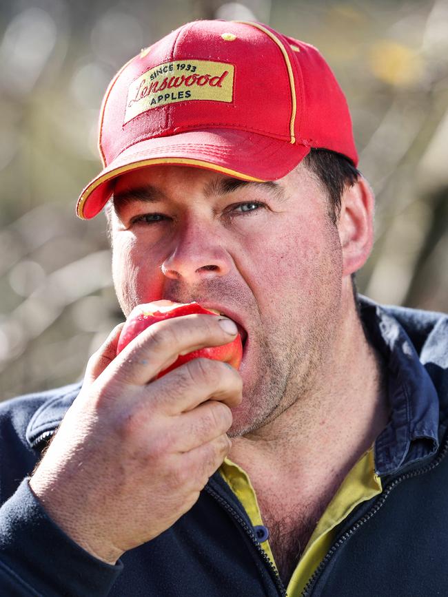 Noel Mason says productivity needs to be improved through innovation in the apple industry. Pictured on his Forest Range property.