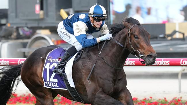 Nadal ridden by Ethan Brown wins the The Ladbrokes Meteorite at Cranbourne Racecourse on November 23, 2024 in Cranbourne, Australia. (Photo by Scott Barbour/Racing Photos via Getty Images)