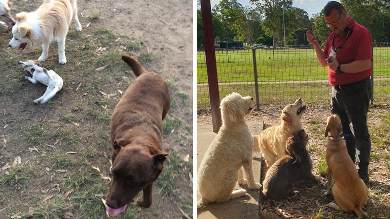 The dog park at Camira Recreation Reserve. Picture: Facebook / Stuart Rae (left) and Grant Teeboon (right)