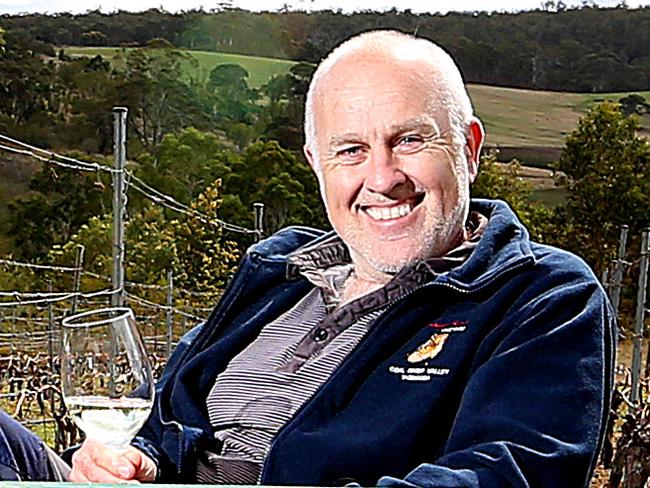 Rebooting Wobbly Boot Vineyard in the Coal River Valley, owner Paul Williams amongst the vines. pic Sam Rosewarne