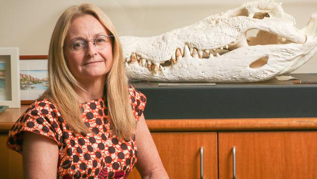 Territory Coroner Elisabeth Armitage ahead of the Kumanjayi Walker inquest in September.Picture: Glenn Campbell