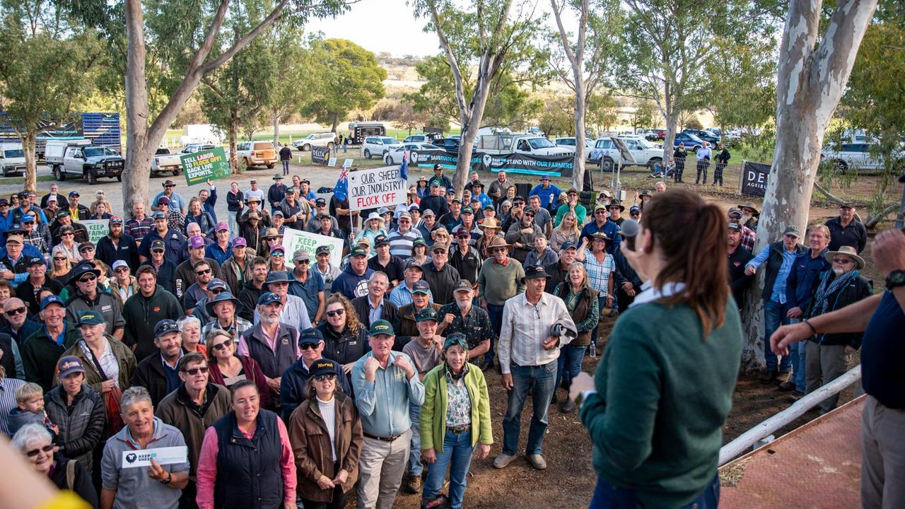 On Friday, June 14, 1000 people from the WA sheep farming community attended a House of Representatives Standing Committee on Agriculture inquiry on the live exports ban. Picture: Josh Fernandes via the Keep the Sheep Facebook page.