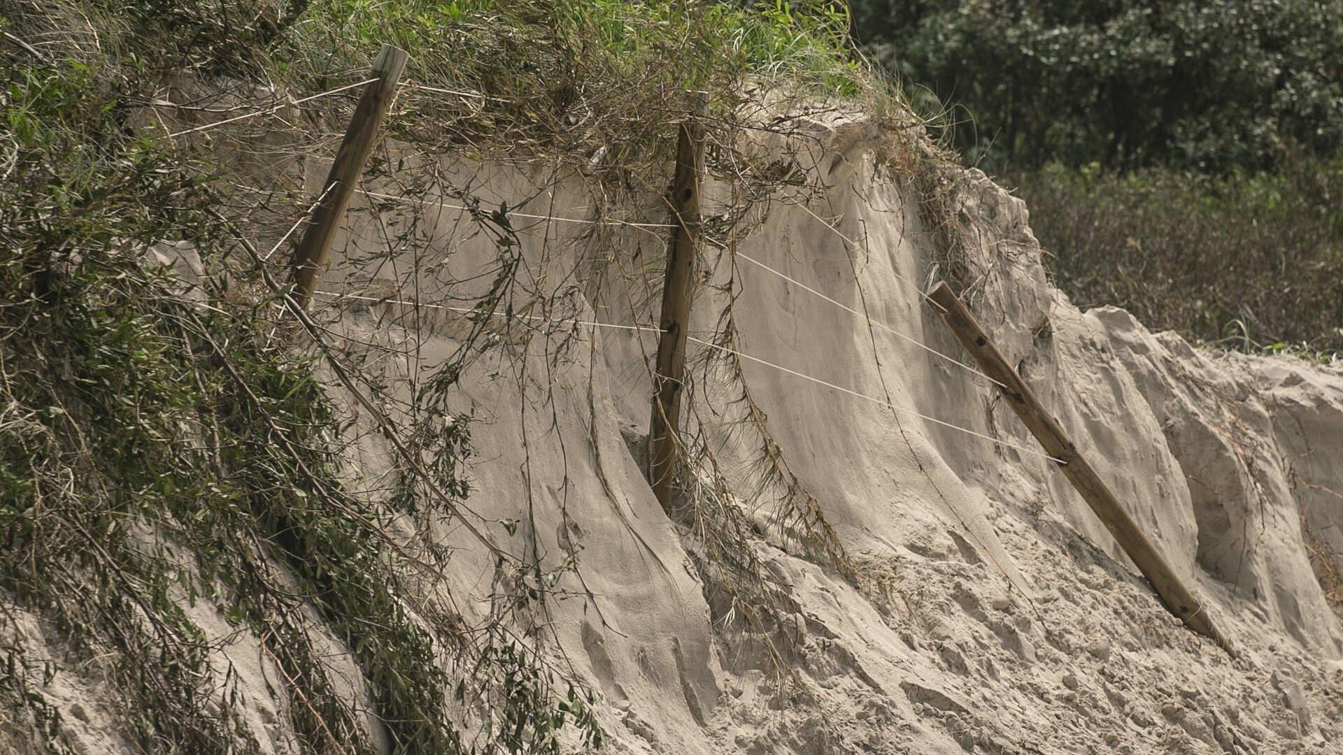 Large scale restoration effort underway on the Gold Coast after ex-cyclone havoc