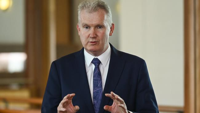 Workplace Relations Minister Tony Burke previously urged states and territories to speed up a domestic use ban of silica. Picture: NCA NewsWire / Martin Ollman