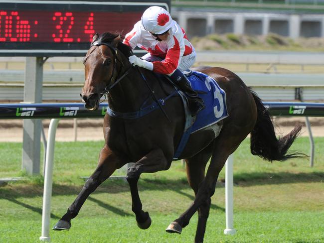 Maurus scores easily at Doomben. Picture: Grant Peters, Trackside Photography