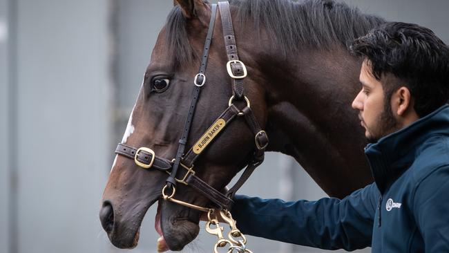 Overpass won The Quokka in Perth earlier this year.