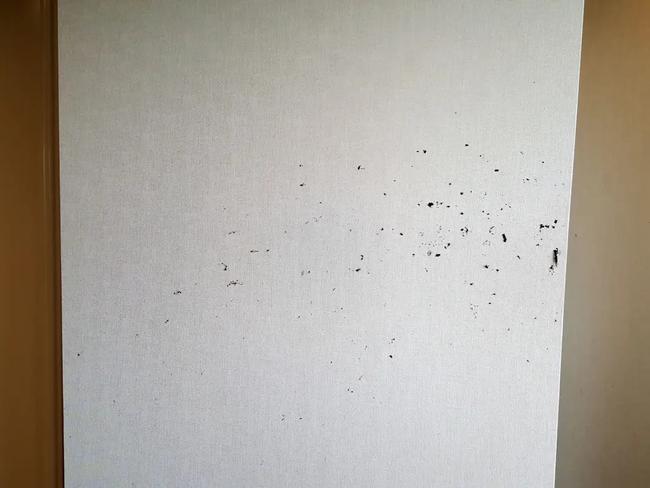 Soil covers the wall. Picture: U.S. Attorneys SDNY