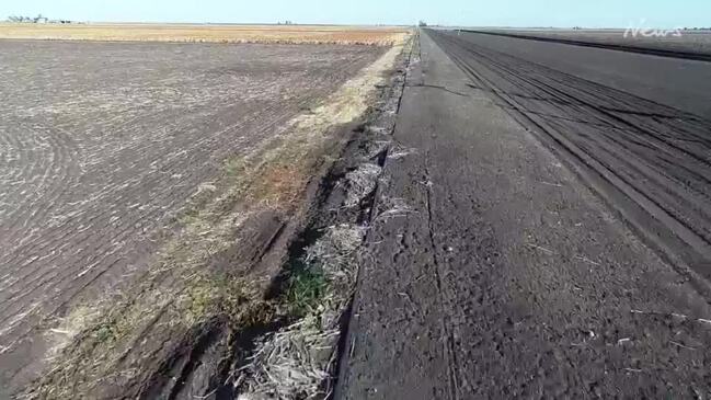 'Forestry route' not suitable for Inland Rail, farmers say