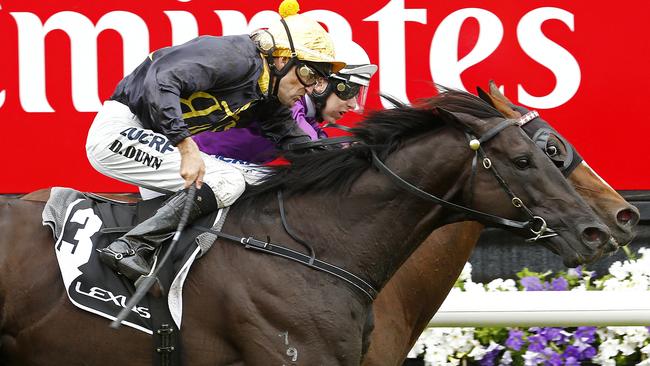 Dwayne Dunn on Excess Knowledge holds off Damian Lane on Zanteca.