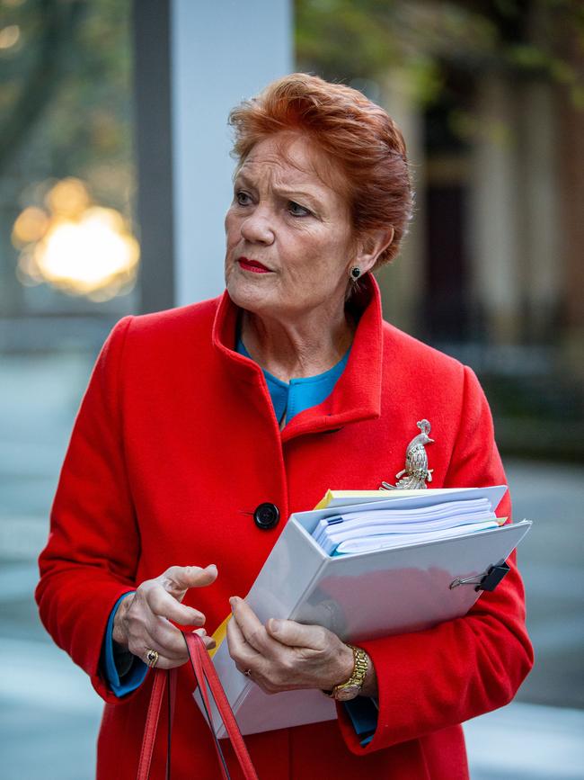 As did One Nation leader Pauline Hanson. Picture: NCA NewsWire / Christian Gilles