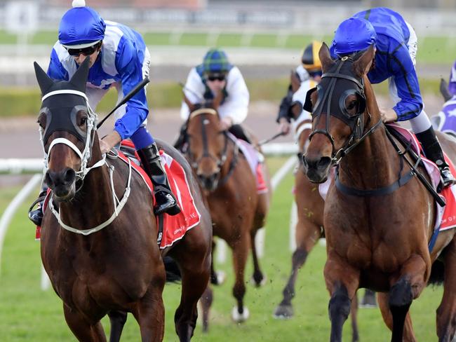 Winx overhauls Happy Clapper in the home straight. Picture: Simon Bullard