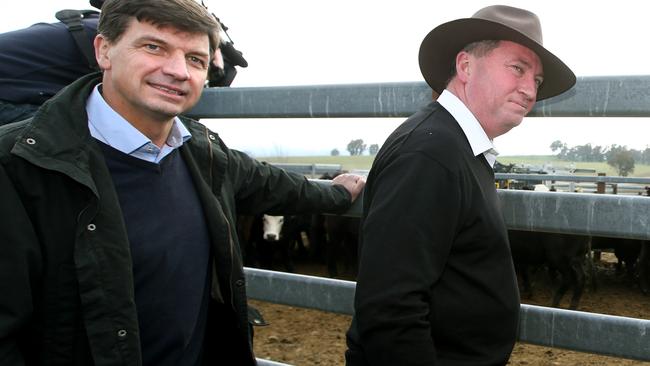 Energy Minister Angus Taylor and former Depurty PM Barnaby Joyce at a NSW cattleyard.