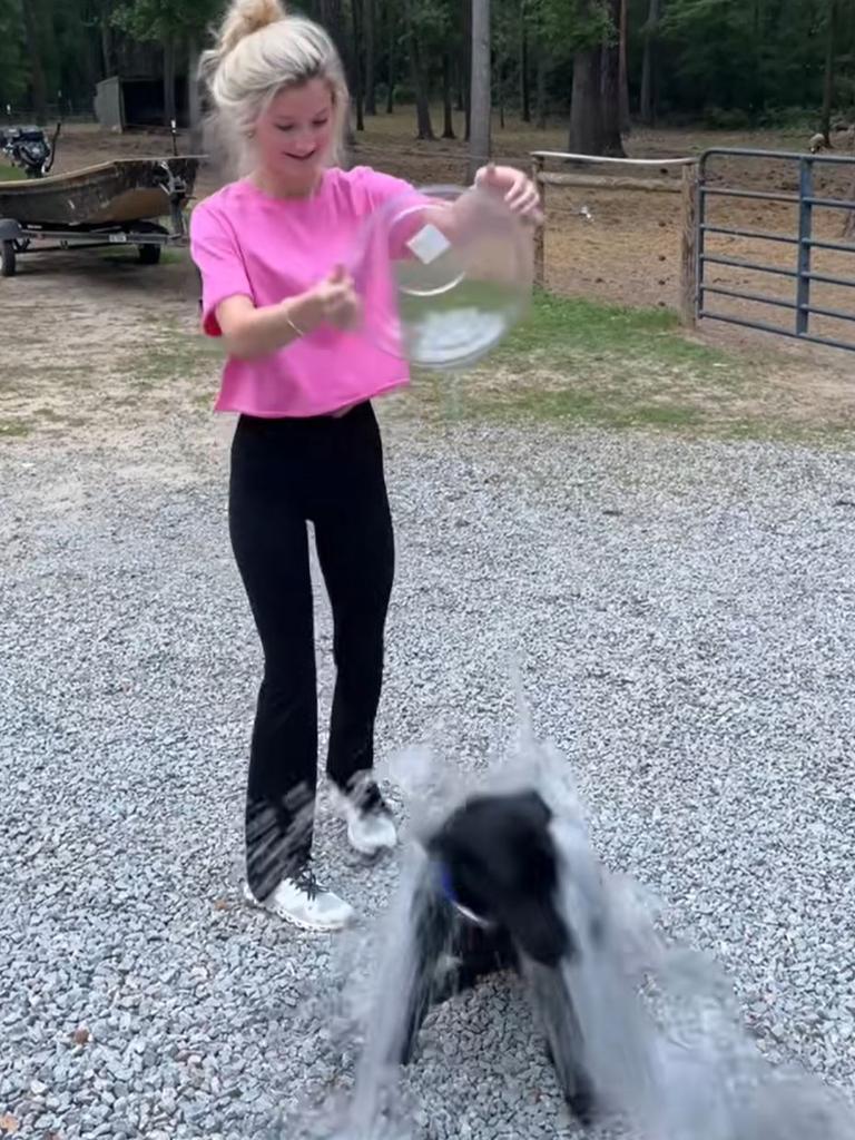 Often the dogs are terrified and run away. Picture: TikTok
