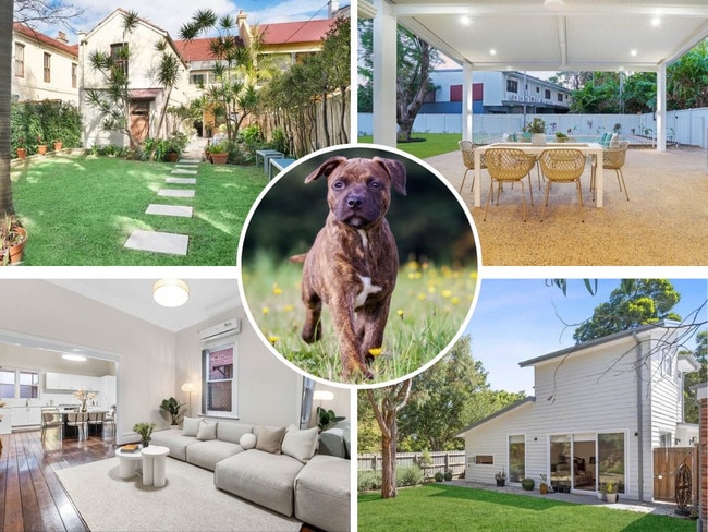 Pet-friendly homes national sell image. Supplied