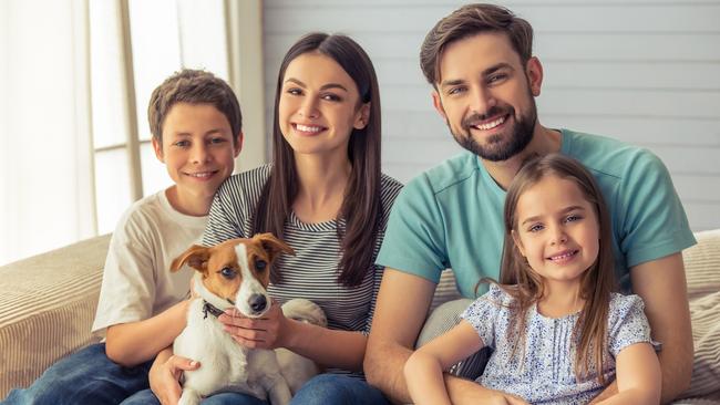 The more details you can give about your pet the better. Picture: iStock