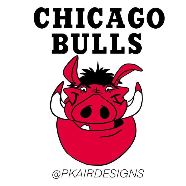 Chicago Bulls v The Lion King’s Pumbaa. Picture: pkairdesigns/Instagram
