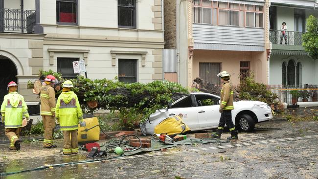 A car was crushed by a falling tree on Pitt St in Redfern. Picture: Michael Bilbe-Taylor