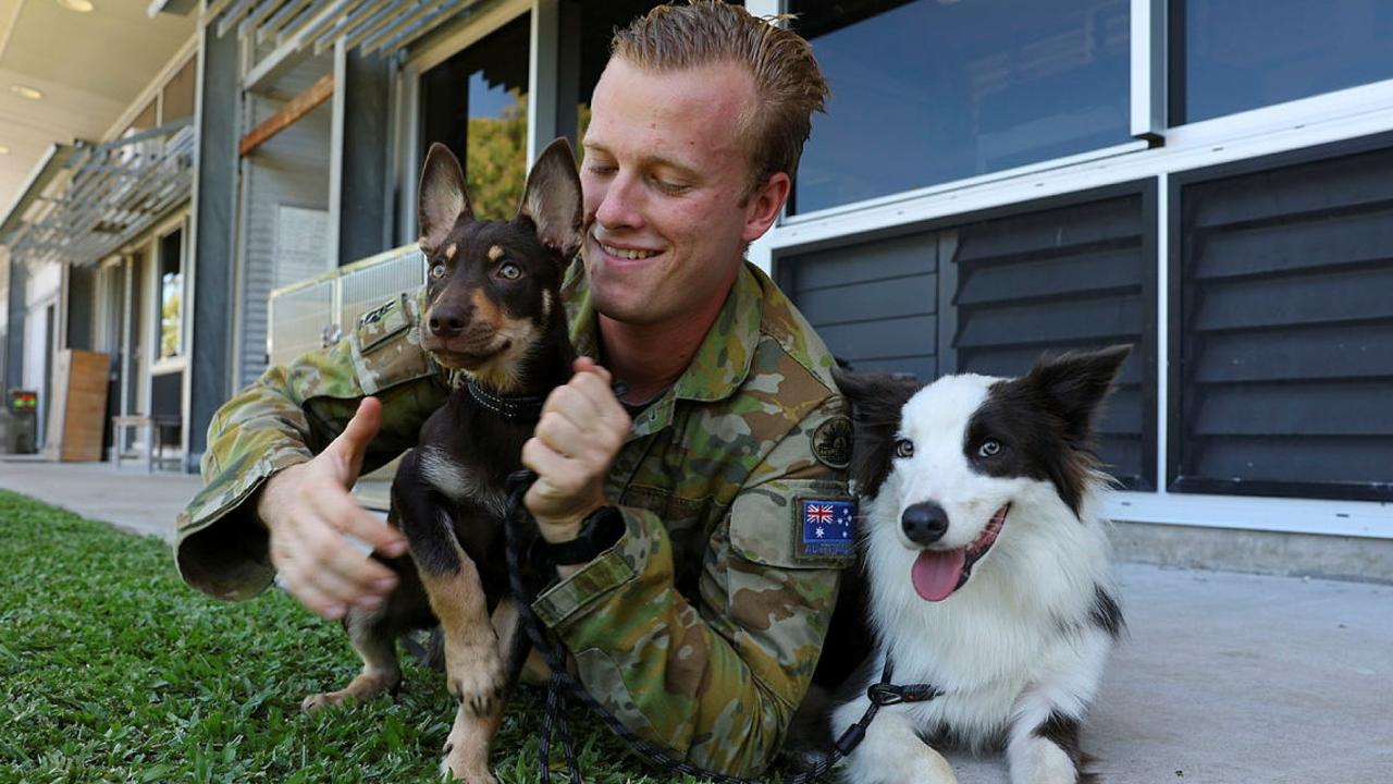 Australian Army 3 Combat Engineer Regiment enlists new explosive ...