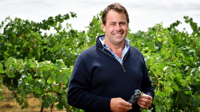 Chairman of the Coonawarra Grape Growers Association Pete Balnaves. Picture: Bianca De Marchi