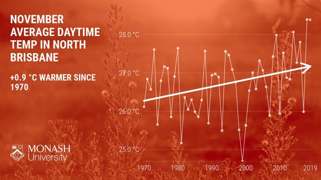 A typical November day in north Brisbane is 0.9 degrees warmer now than it was 50 years ago. North Lakes, 4 November 2020, Source: Monash University.