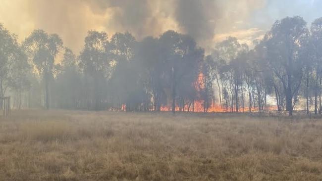 Eruption of fires spreading west of Cowra, near Conimbla Rd.