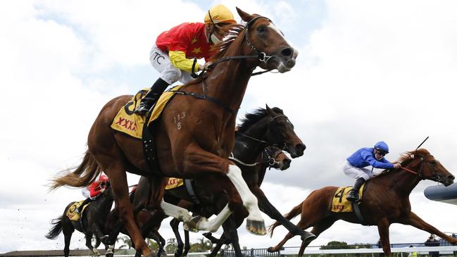 Gai Waterhouse rates In The Congo as he best chance to claim the Group 1 Golden Rose. Picture: Getty Images